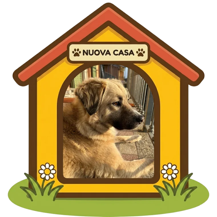 Ambra nella sua nuova casa