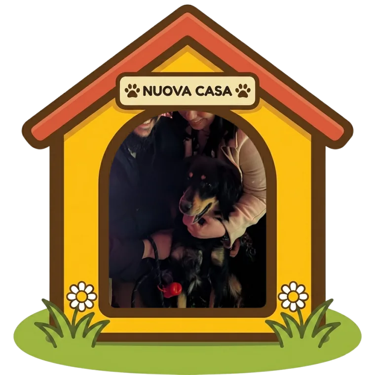 Argo nella sua nuova casa