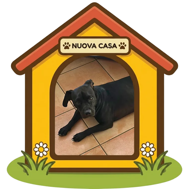 Aron nella sua nuova casa