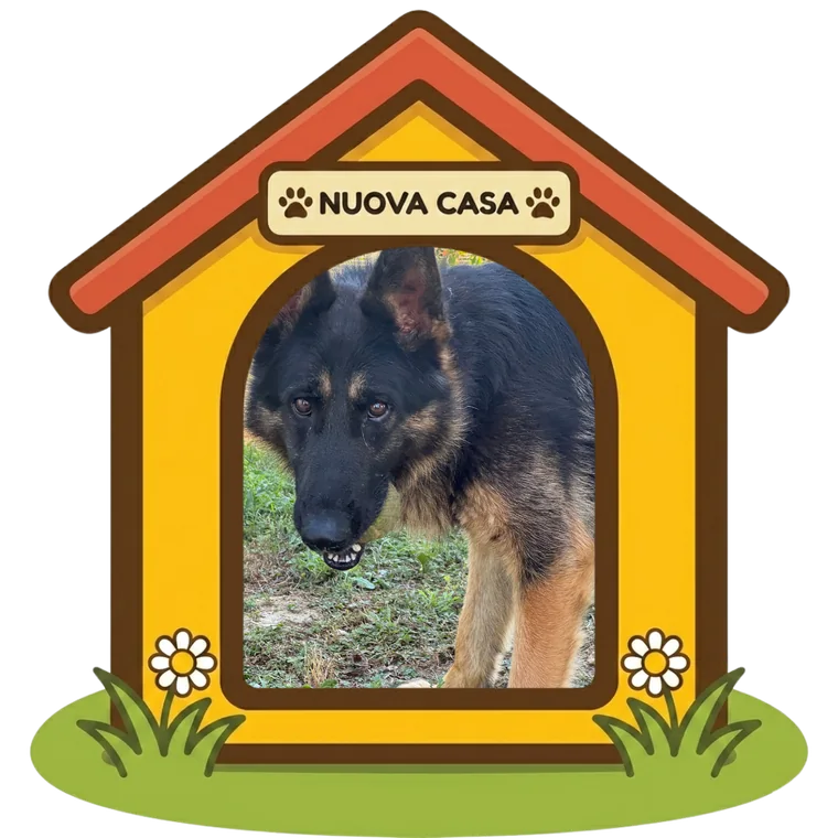 Byron nella sua nuova casa