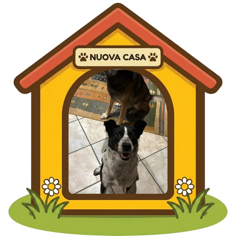 Lola nella sua nuova casa