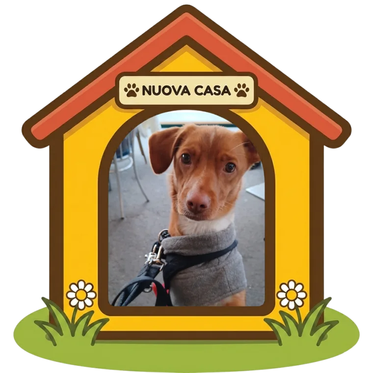 Lola nella sua nuova casa