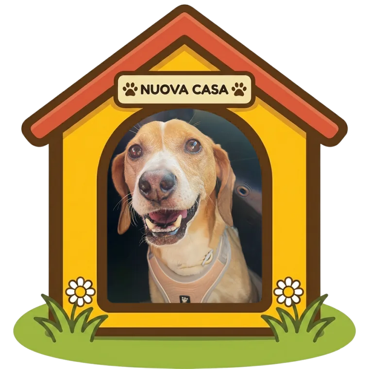 Munay nella sua nuova casa