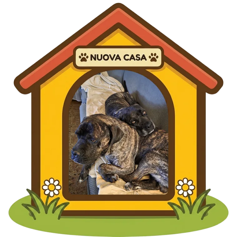 Pepe e Kira nella loro nuova casa