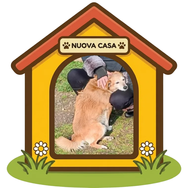 Spillo nella sua nuova casa