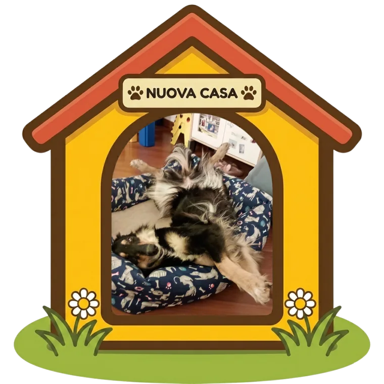 Stella nella sua nuova casa