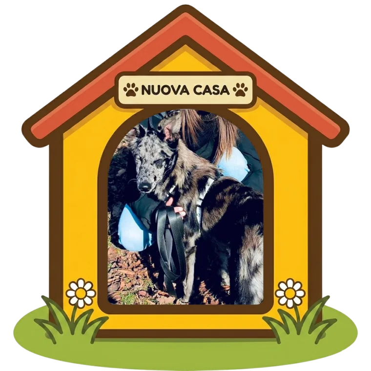Zoe nella sua nuova casa